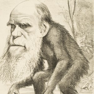 Editorial_cartoon_depicting_Charles_Darwin_as_an_ape_(1871)